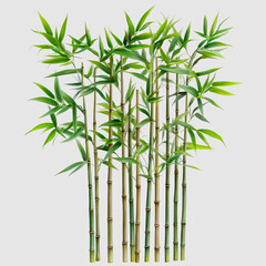 Naklejka premium Lush Bamboo Stalks Displaying Vibrant Green Foliage Against a Neutral Background, Perfect for Nature-Themed Projects and Eco-Friendly Designs