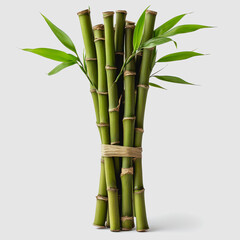 Obraz premium Fresh Green Bamboo Sticks Tied Together with Natural Twine against a Neutral Background, Perfect for Eco-Friendly and Natural Design Themes