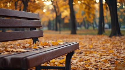 Bedroom bench isolated on autumn background