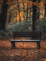 Bedroom bench isolated on autumn background
