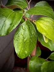 The Beauty of Purple Flowers in Nature