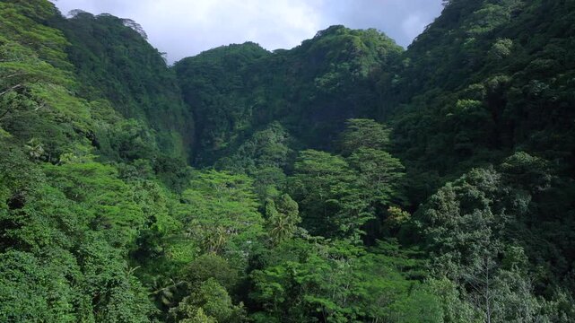 Faarumai Valley Waterfall Falls Tahiti Island French Polynesia aerial drone Vaimahuta Tiarei Hitiaa watershed picturesque river cascades trees forest jungle greenery fauna sunny blue clear sky upwards