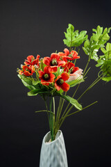 Red and white spring flowers in a vase on black background. High resolution photo. Selective focus.