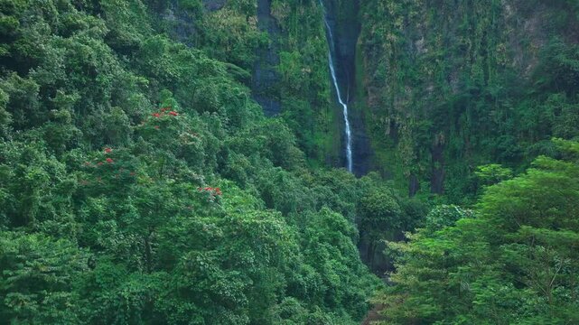 Three Waterfalls Trail Les Trios Cascades Faarumai Valley Waterfall Falls Tahiti Island French Polynesia aerial drone Vaimahuta Tiarei Hitiaa watershed jungle forest picturesque river upward