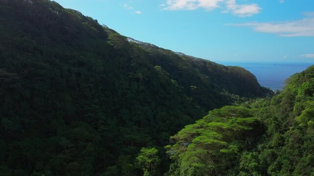 Faarumai Valley Waterfall Falls Tahiti Island French Polynesia aerial drone Vaimahuta Tiarei Hitiaa watershed picturesque river cascades trees forest jungle bird flying sunny blue clear sky upwards
