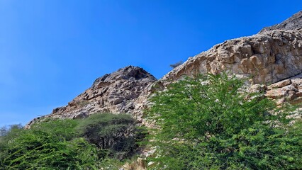 Fototapeta premium Landscape pictures of Amerat town in Muscat Oman