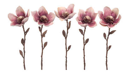 Five mauve artificial magnolia blossoms, arranged in a row against a transparent background. Their delicate petals and slender stems create a visually appealing symmetry.