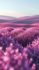Fototapeta premium Pink flower field landscape, soft focus, dreamy.