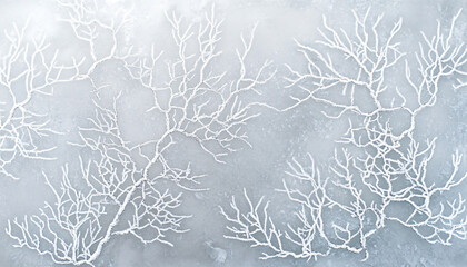 Minimalist background for creative design