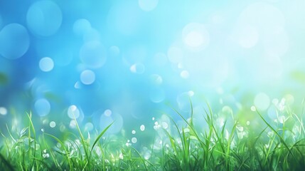 Obraz premium Abstract green grass with blue bokeh background.