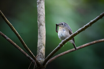 face of a woman using art paint