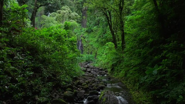 River cascades Faarumai Valley Waterfall Tahiti Island French Polynesia aerial drone Three Falls Trail Les Trios picturesque Vaimahuta Tiarei Hitiaa watershed jungle forest backwards motion