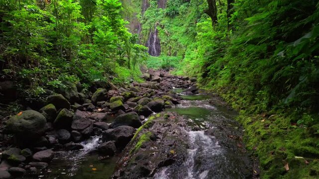 River cascades Faarumai Valley Waterfall Tahiti Island French Polynesia aerial drone Three Falls Trail Les Trios picturesque Vaimahuta Tiarei Hitiaa watershed jungle forest forward pan up motion