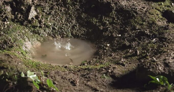 The water drops in the cave, natural water dripping in the cave, close-up detail
