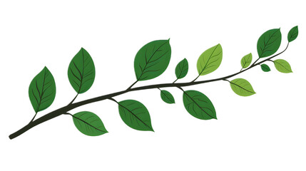 Obraz premium green leaves isolated on white