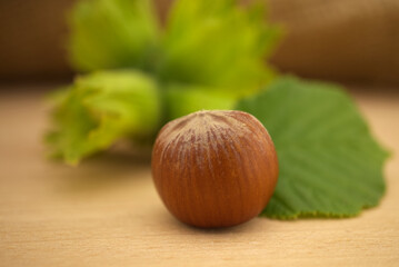 Fresh raw unshelled hazelnut on green leave