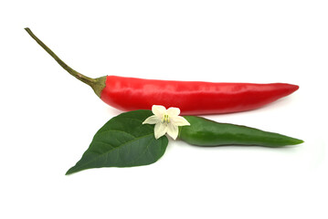 Red and green chili peppers with a white flower on white