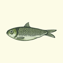 little fish vector illustration