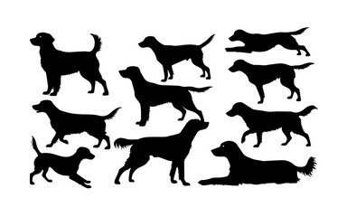 Obraz premium vector collection of dog animal silhouette illustrations