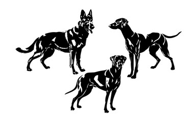 Obraz premium vector collection of dog animal silhouette illustrations
