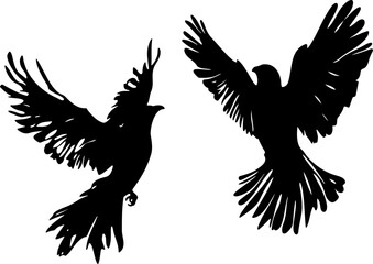 Obraz premium eagle with wings vector