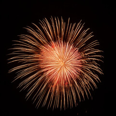 Obraz premium Fireworks on the black background