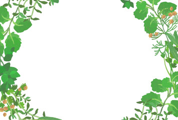 Fototapeta premium 自然の草花のナチュラル背景素材