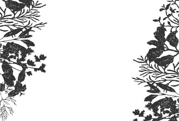 Fototapeta premium 自然の草花のナチュラル背景素材