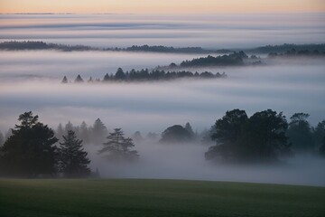 Fototapeta premium Velvet Fog Soft Edge Design for a Calming and Realistic Ambiance