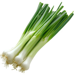 Fototapeta premium Fresh bunch of green onions onwhite background