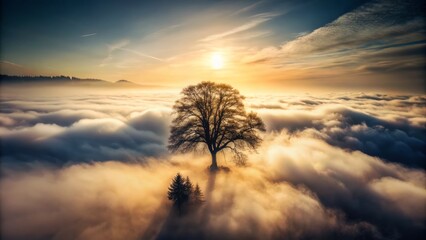 Fototapeta premium Aerial View of Tree Silhouette Emerging from Fog in a Spooky Landscape, Ideal for Halloween-Themed Designs and Marketing Materials with Ample Space for Copy and Creative Text Overlay