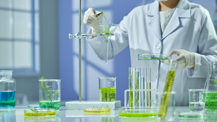 A viewpoint of a scientist picking up a melaleuca branch to display in a funnel on a hanger above a...