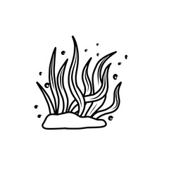 Coral and Seaweed Outline 