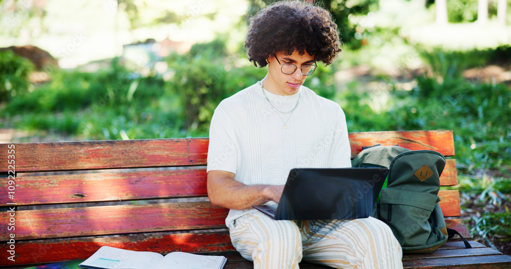 Leinwandbilder man, student and laptop in park for research assignment, university assessment and statistics projec