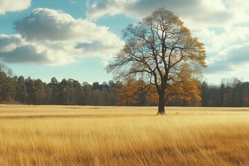 Obraz premium Golden Fields and Majestic Tree Under a Bright Sky by Generative Ai Photo