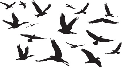 Black A silhouette of birds flying