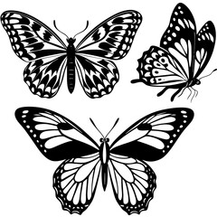 set of butterflies collections  illustrations vector art isolated white background