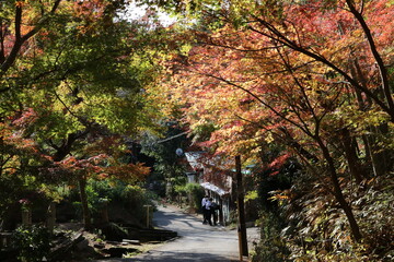 秋の鎌倉。建長寺。