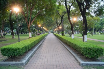 Obraz premium Serene Pathway in a Lush Park with Illuminated Trees and Tranquil Ambiance Perfect for Evening Strolls and Nature Lovers Seeking Peace and Relaxation