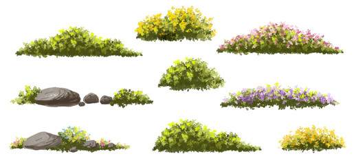 Vector of tree or blooming  side view isolated on white background ,watercolor tree elevation for landscape concept,environment scene,eco design,blossom garden for spring