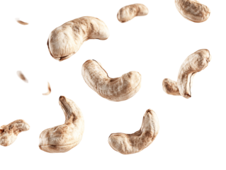 a group of cashew nuts