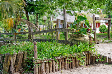 Jardin tropical &agrave; Madagascar