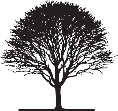 Minimalist Tree Silhouette for Branding and Design