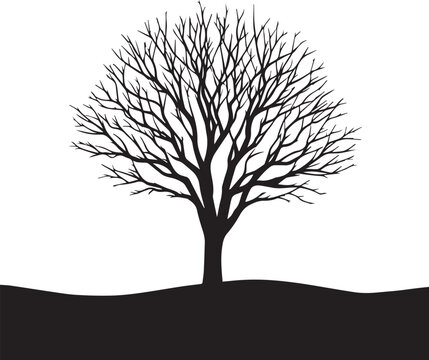 Abstract Tree Silhouettes for Graphic Design and Inspiration, Silhouette Trees, Black and White color design