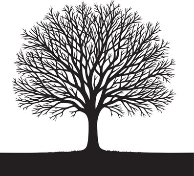 High-Quality Silhouette Trees for Nature-Based Concepts, Silhouette Trees, Black and White color design