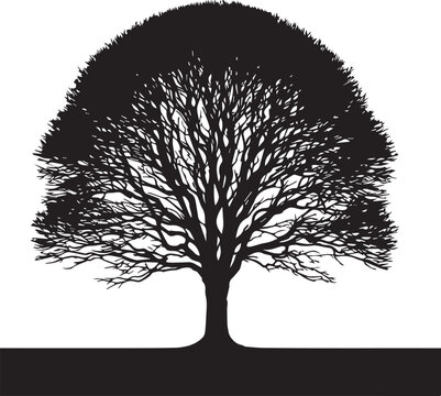 Elegant Tree Silhouette for Creative Design Projects