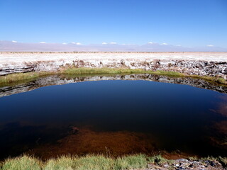 Ojos del salar in the Atacama desert. Scenic landscape in the salt flat with blue circular pond in the altiplano in Chile, south America.