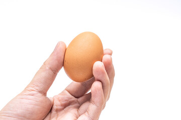 Hand holding brown chicken egg isolated on white background.