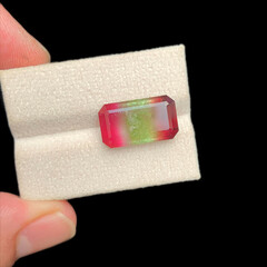 Beautiful Bi Colour Tourmaline gemstone
Cut stones
