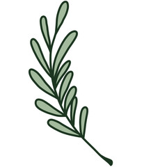 Fototapeta premium Minimalist leaves but still beautiful (PNG)